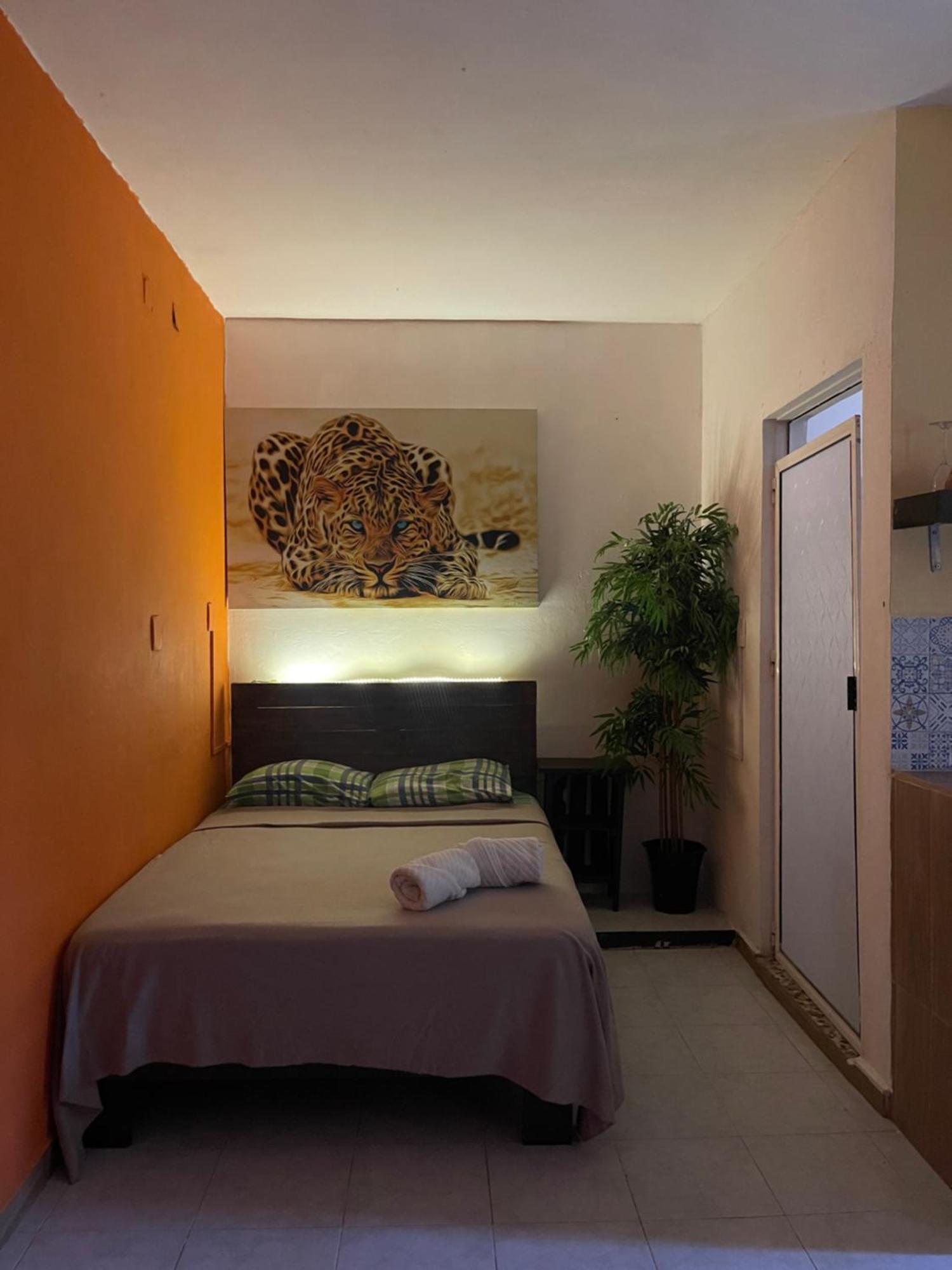 Casa Mar Apartment Playa del Carmen Exterior photo